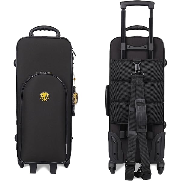 Amazon.com: Omebaige Lightweight Alto Saxophone Rolling Case with